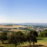 Il Falco *