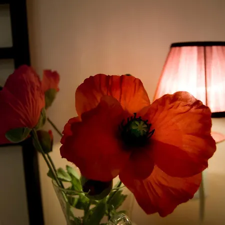 Il Falco Alloggio per agriturismo
