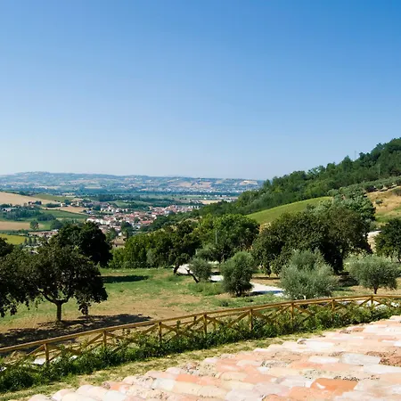Il Falco * SantʼElpidio a Mare