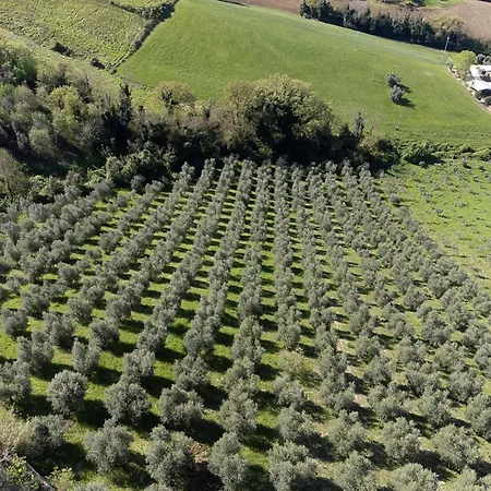 Alloggio per agriturismo Il Falco *